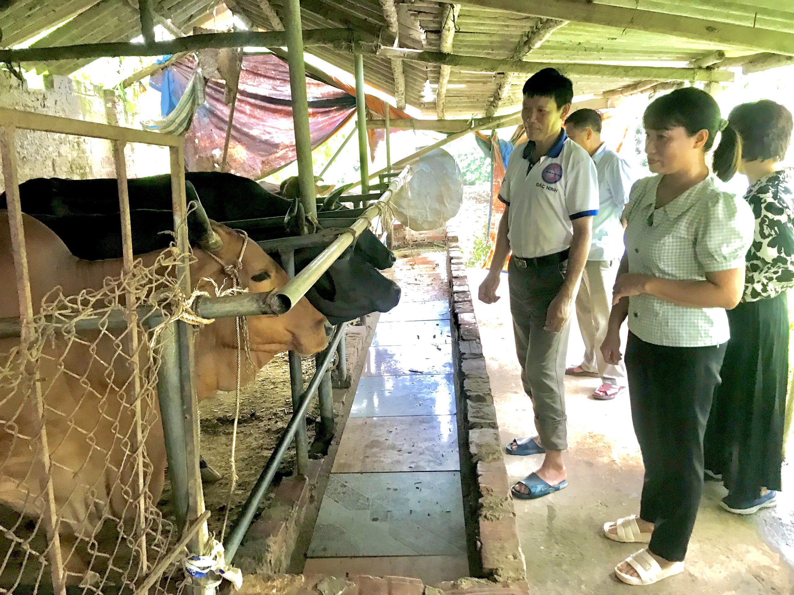 Hội Phụ nữ xã Tòng Bạt phát huy hiệu quả vốn tín dụng ưu đãi trên địa bàn xã